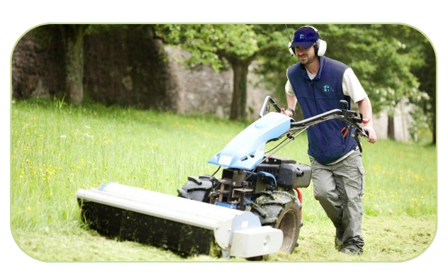 NSW lawn mowing service