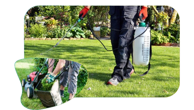 NSW garden maintenance service